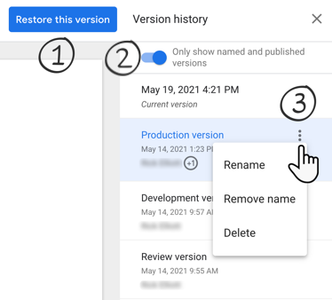 The Version history panel includes the Restore this version button, Only show named and published versions toggle, and three-dot option menus for each version with the options to Rename, Remove name, or Delete. 