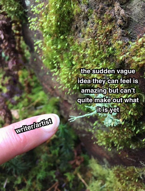 a meme  someone's finger labelled "writer/artist" approaching a piece of moss on a tree that looks like a hand reaching out to touch the person's finger, and is labelled "the sudden vague idea they can feel is amazing but can't quite make out what it is yet"