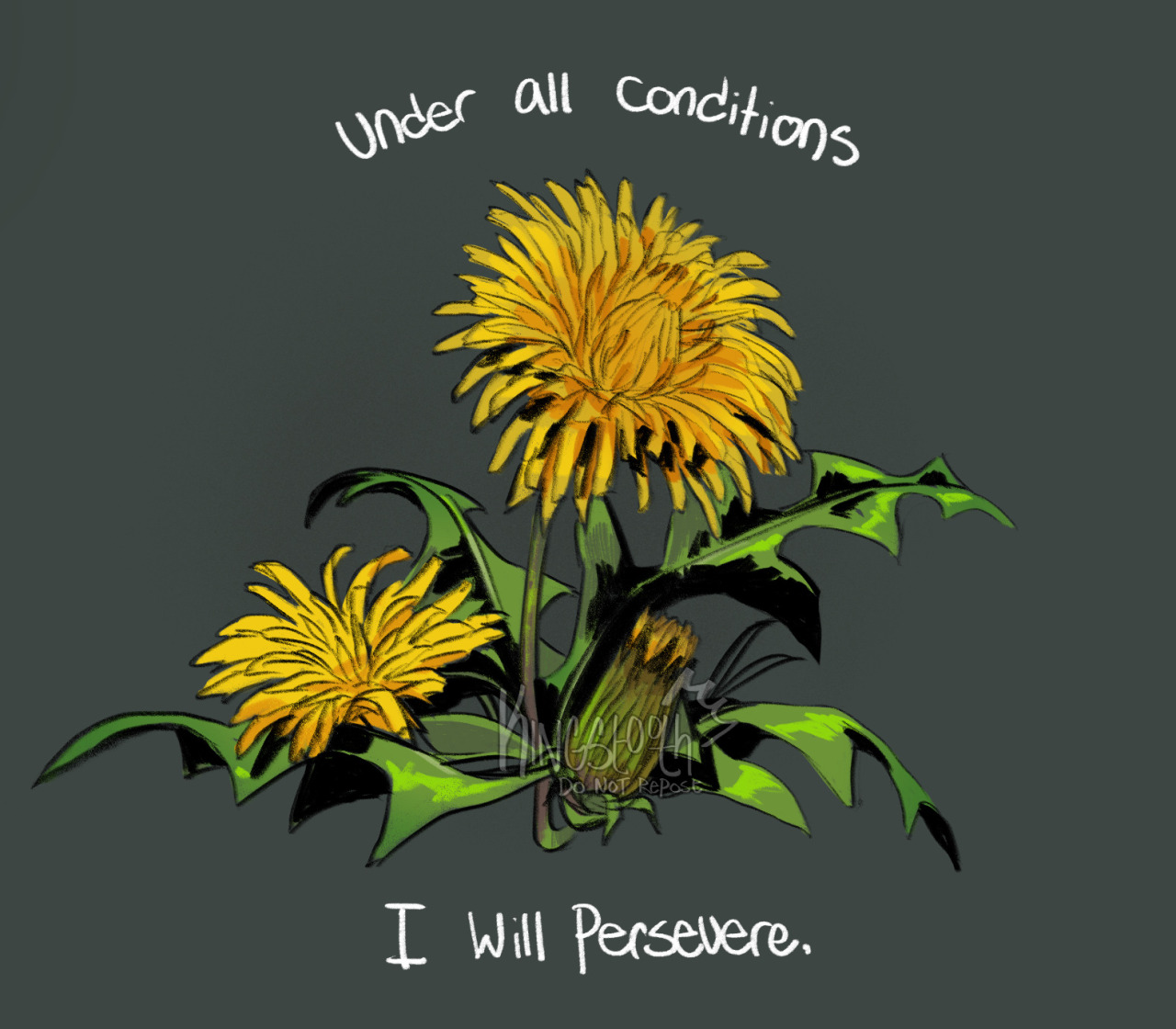 a lightly textured cool grey background with a bright yellow dandelion plant in the center.  the middle flower stands taller, and a flower to the left of it is nestled into the leaves, while a dandelion bud grows in front of both of them.  above the dandelions text reads "Under all conditions" and below it more text reads "I will persevere."