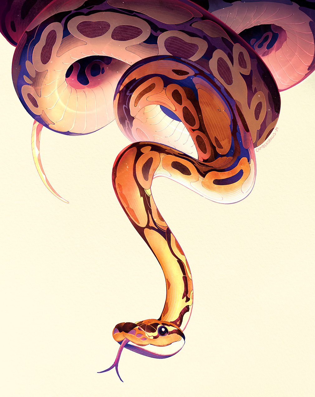 A digital drawing of a ball python descending from the top of the page. It has a very cute face and boopable nose.