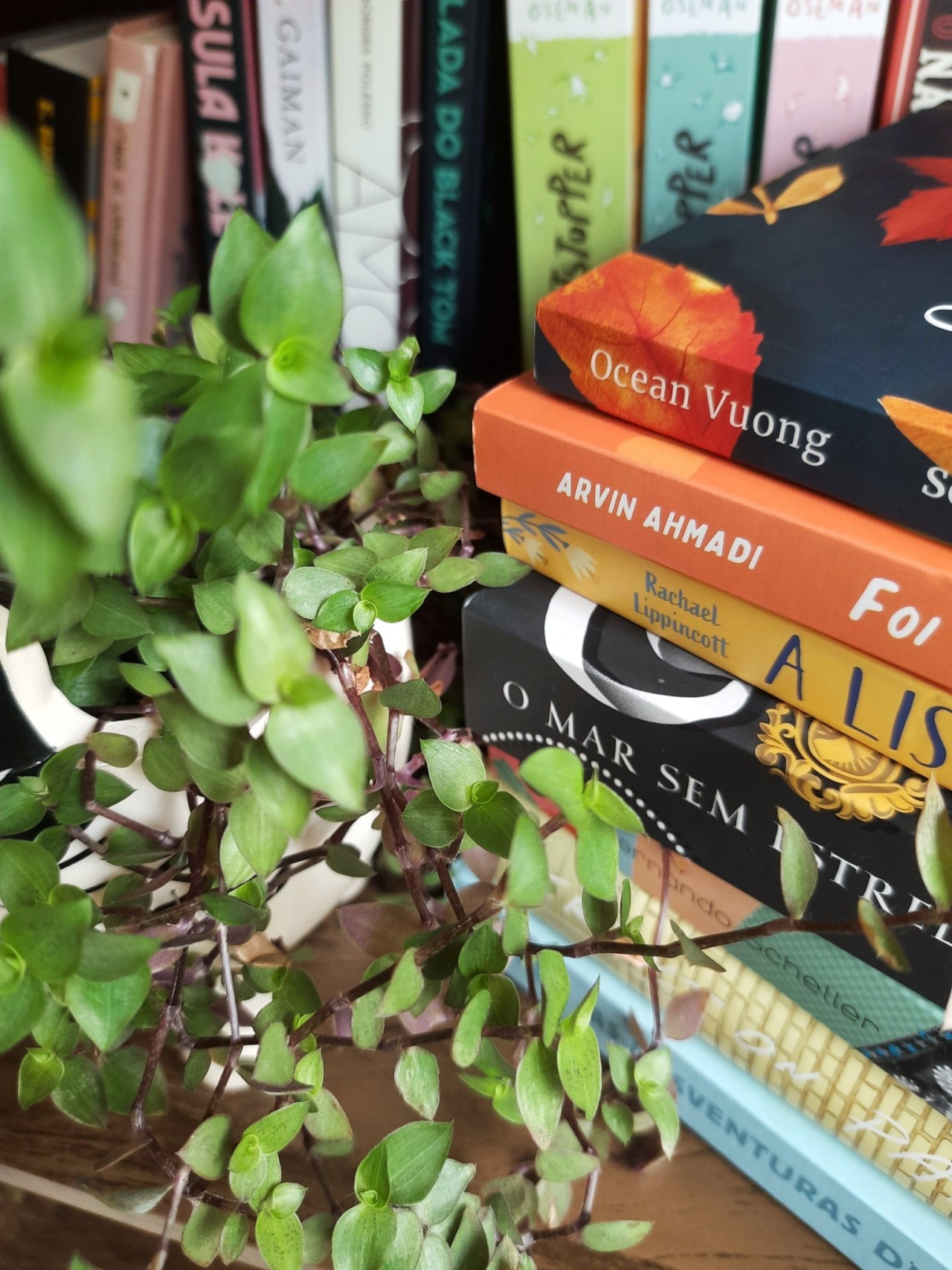 a close-up of the book stack with the books listed below. the vines of the plants are next to the book stack.