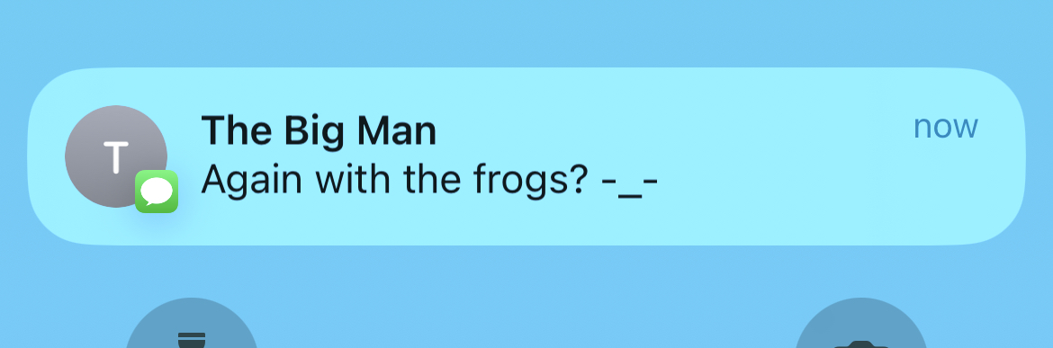 Screenshot of message on phone reading "Again with the frogs?" from contact named "The Big Man"