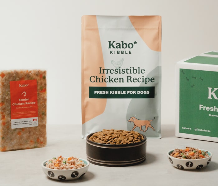 Kabo gently cooked chicken recipe displayed next to bag of Kabo kibble with bowls of the chicken meal, kibble, and the beef meal