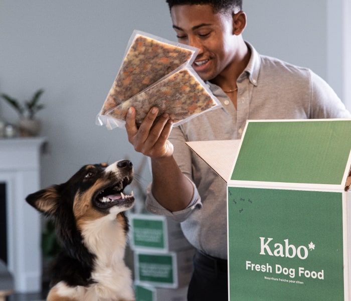 Male dog owner taking out savoury beef meals out of his Kabo delivery box 