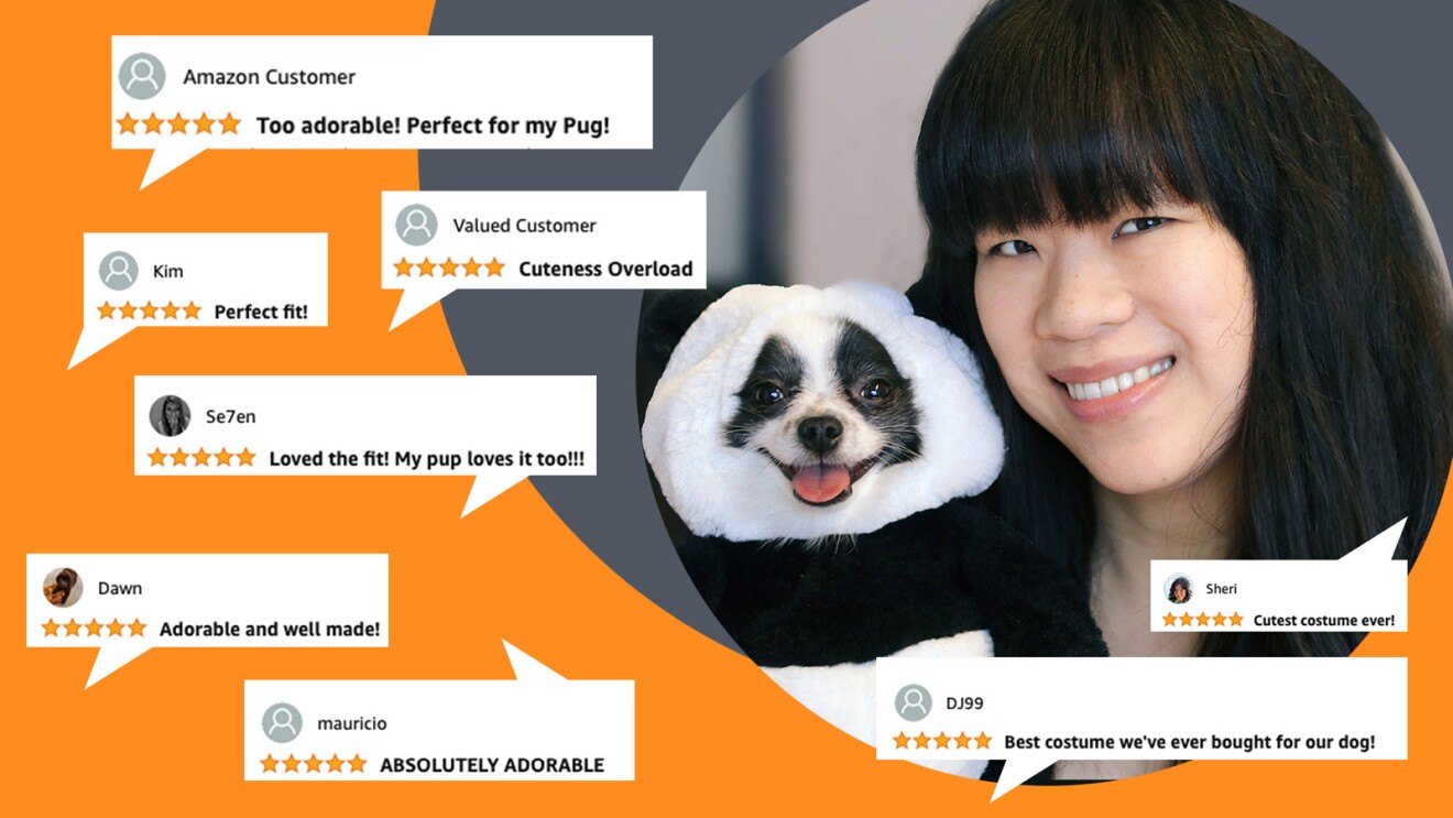 An image of a woman holding a small, black and white dog in a panda costume. There are pasted comments on the left side of the image that say how fun the costume is and how much they love it for their pet. 