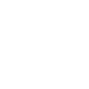 MrBeast New Episode.