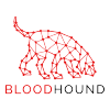 @BloodHoundAD