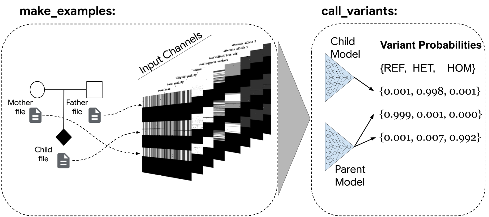 conceptual schematic of how trio files are used to create examples, which are then called by DeepTrio.
