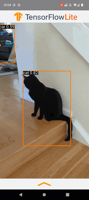 App example showing UI controls. Highlights a cat