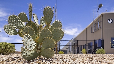 亚利桑那州新数据中心外的仙人掌。