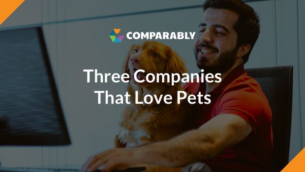 3 Companies That Love Pets
