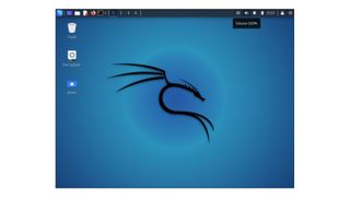A screenshot of the Kali Linux desktop