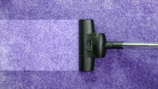 A vacuum cleaner head running across a purple carpet