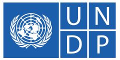 Лого UNDP