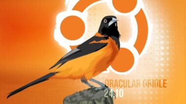 Insight into Ubuntu 24.10 (Oracular Oriole) Plans