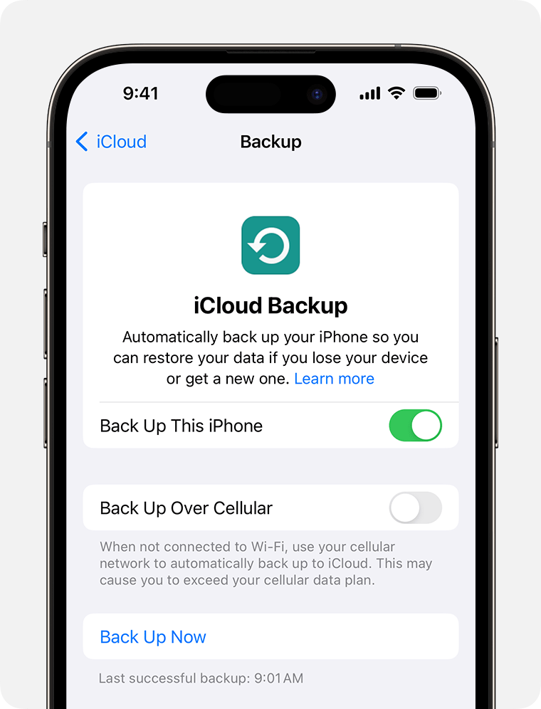 Naudokite „iCloud“ atsarginės kopijos kūrimo funkciją, kad sukurtumėte atsarginę savo „iPhone“ duomenų kopiją, jei jie dar nėra sinchronizuoti su „iCloud“.