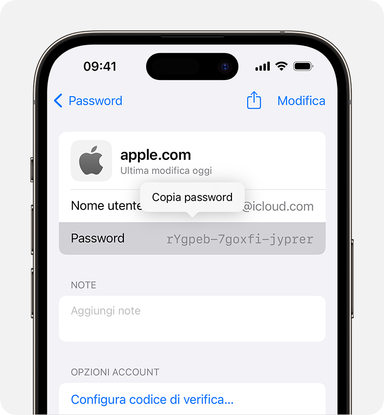 ios-17-iphone-14-pro-settings-passwords-copy-password