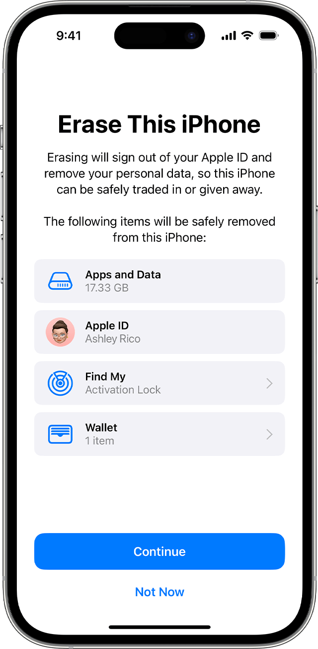 Confirm you want to erase your device