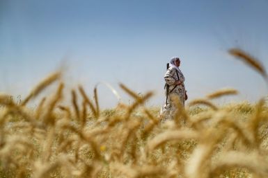 An armed Syrian Kurdish woman volunteer keeps watch in a wheatfield