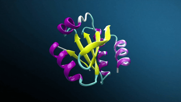 GIF of rotating protein structure.