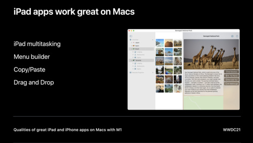 出色 Mac Catalyst app 的质量