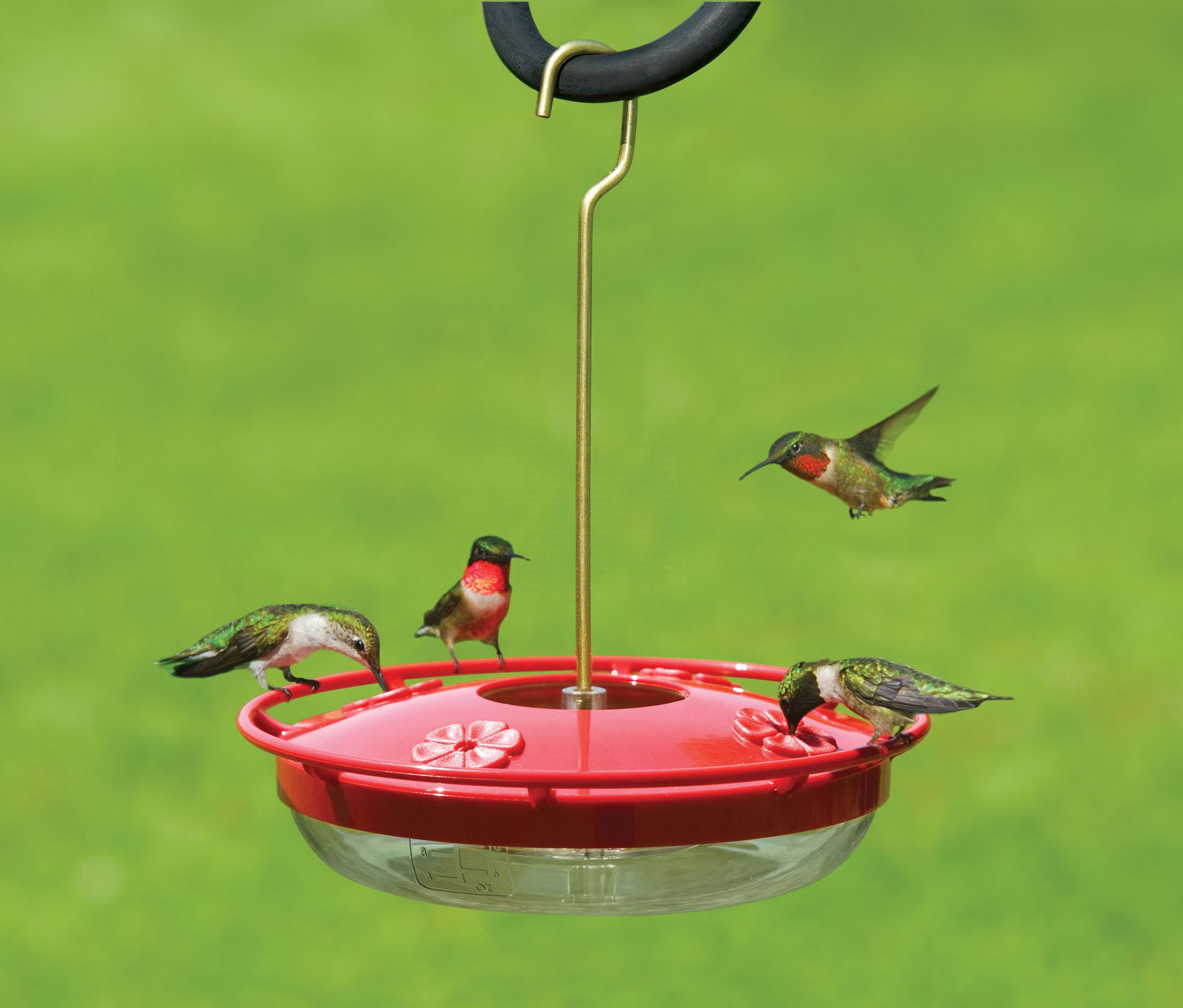 A simple hummingbird feeder with several birds drinking at the flower-shaped holes.