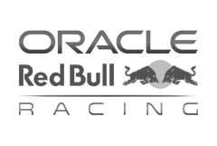 Oracle Red Bull Logo