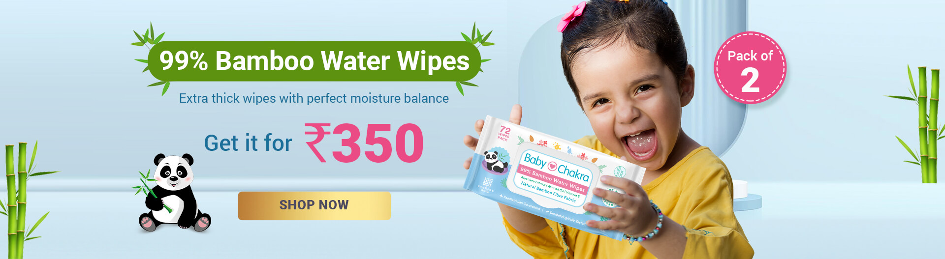 Pack of 2 Water Wipes