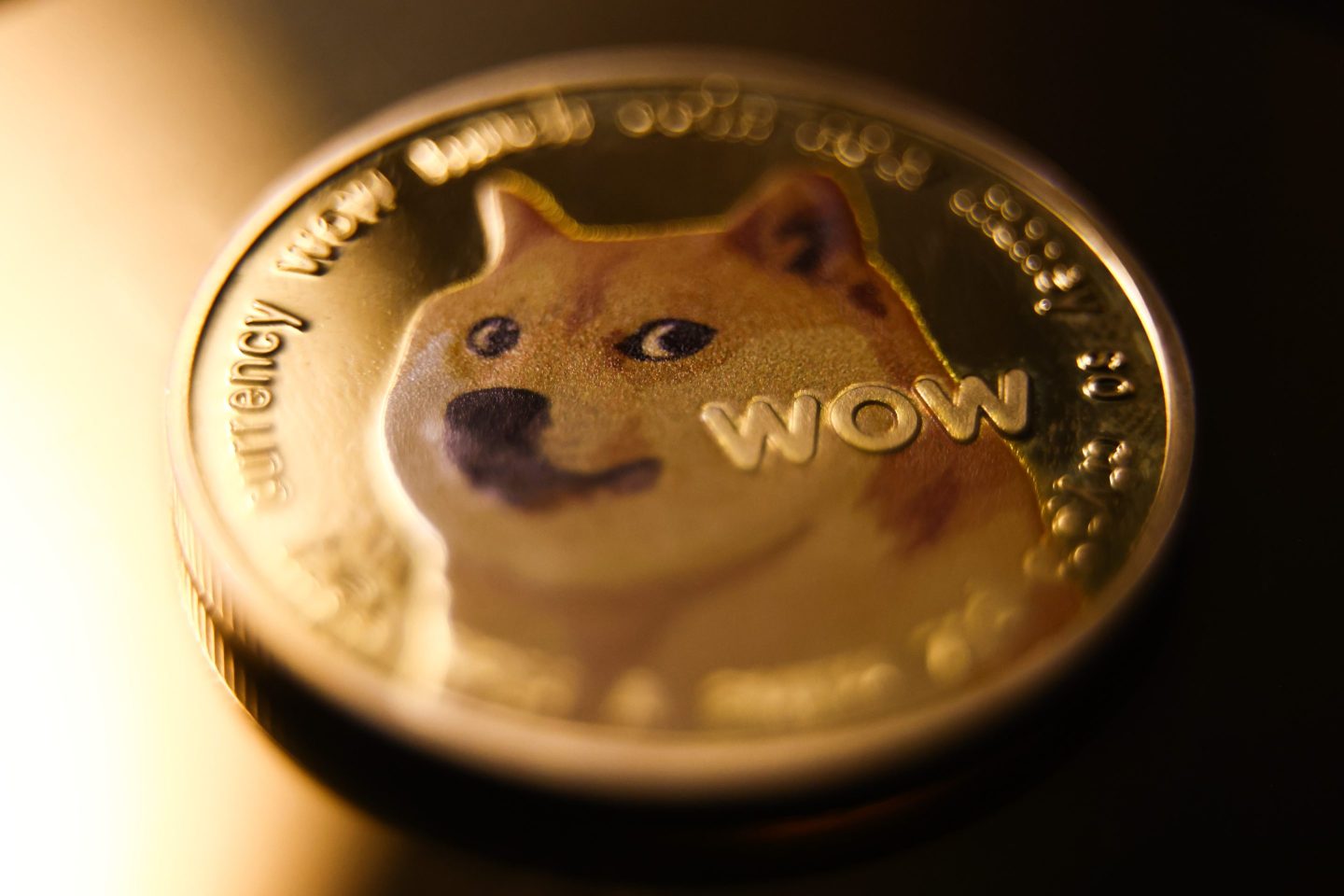 Dogecoin cryptocurrency physical representation is photographed for illustration photo in Krakow, Poland on May 4, 2023.  (Photo by Beata Zawrzel/NurPhoto via Getty Images)