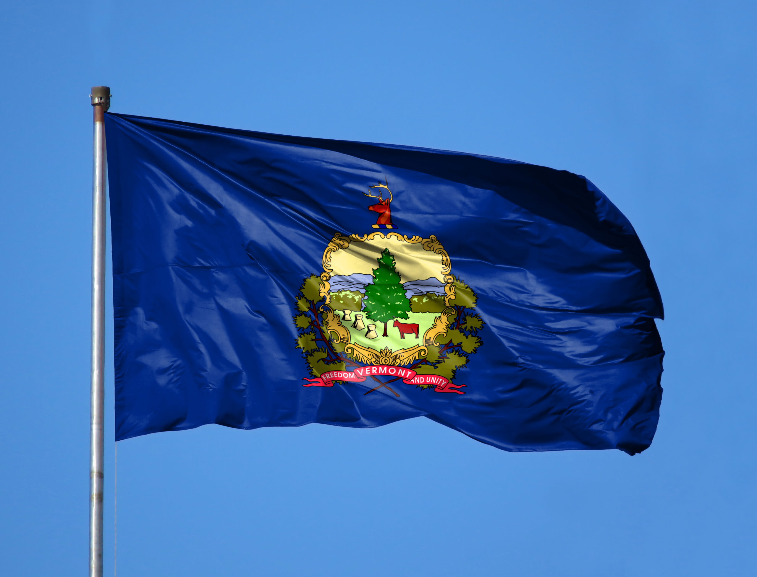 national,flag,state,of,vermont,on,a,flagpole