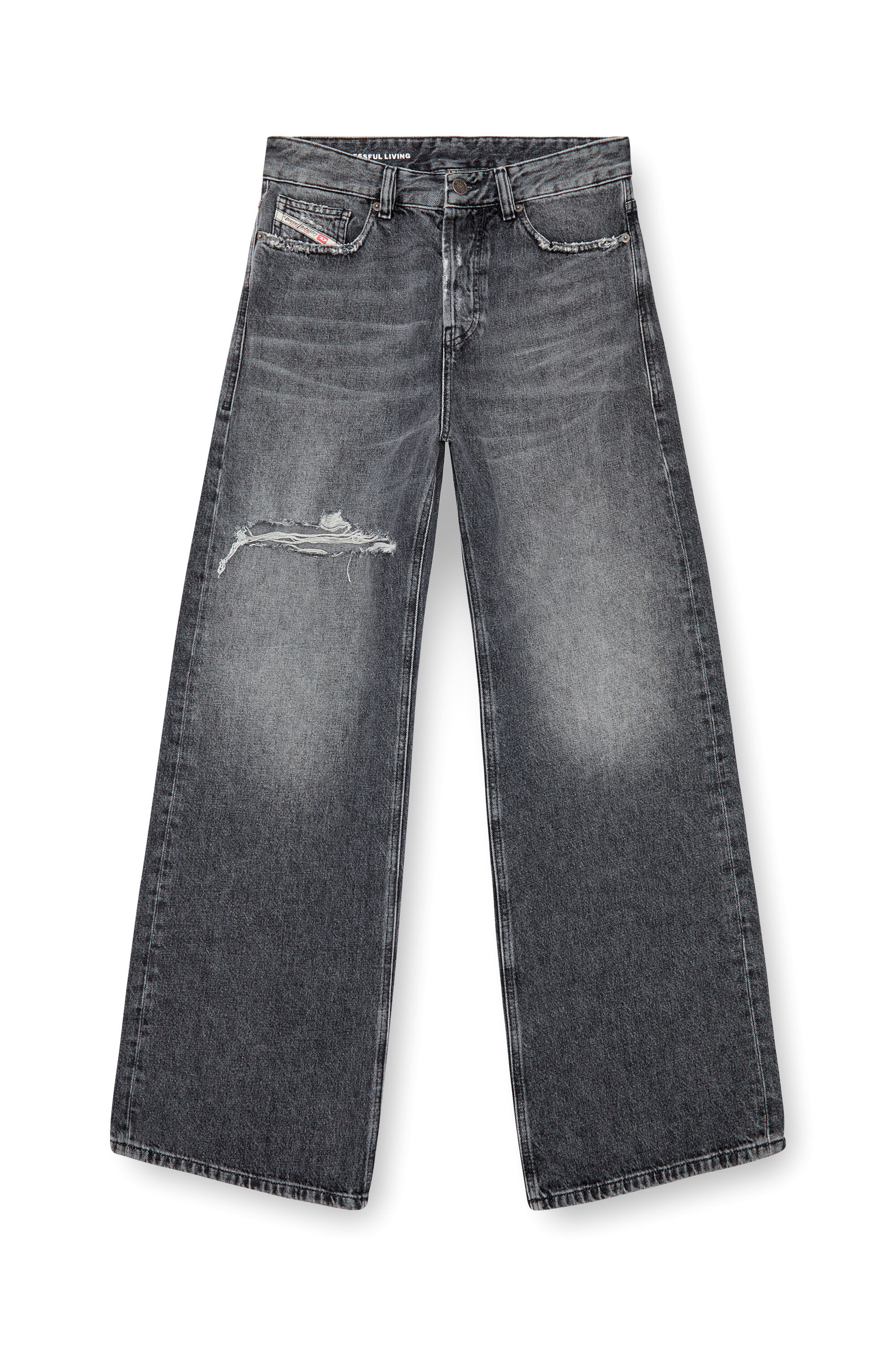 Diesel - Femme Straight Jeans 1996 D-Sire 007X4, Noir/Gris foncé - Image 2