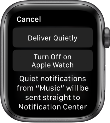 Notification settings on Apple Watch. The top button reads “Deliver Quietly,” and the button below reads “Turn Off on Apple Watch.”