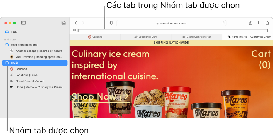 Cửa sổ Safari đang hiển thị thanh bên có một Nhóm tab được chọn.