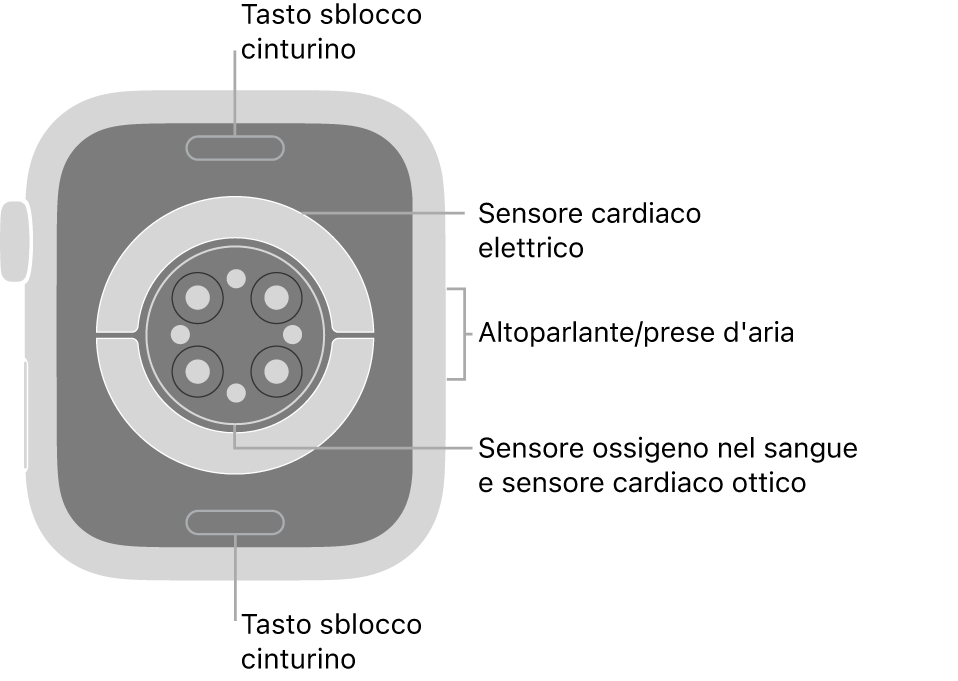La parte posteriore di Apple Watch Series 6, con i pulsanti di sblocco del cinturino in alto e in basso, i sensori elettrici per il cuore, i sensori ottici per il cuore e i sensori per il livello di ossigeno nel sangue in mezzo, e l’altoparlante e i condotti di ventilazione sul lato.