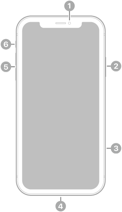iPhone 11 vist forfra. Kameraet foran er i midten øverst. På høyre side, fra bunnen til toppen, vises sideknappen og SIM-skuffen. Lightning-tilkoblingen er nederst. På venstre side, fra nederst til øverst, vises volumknappene og ringelydbryteren.