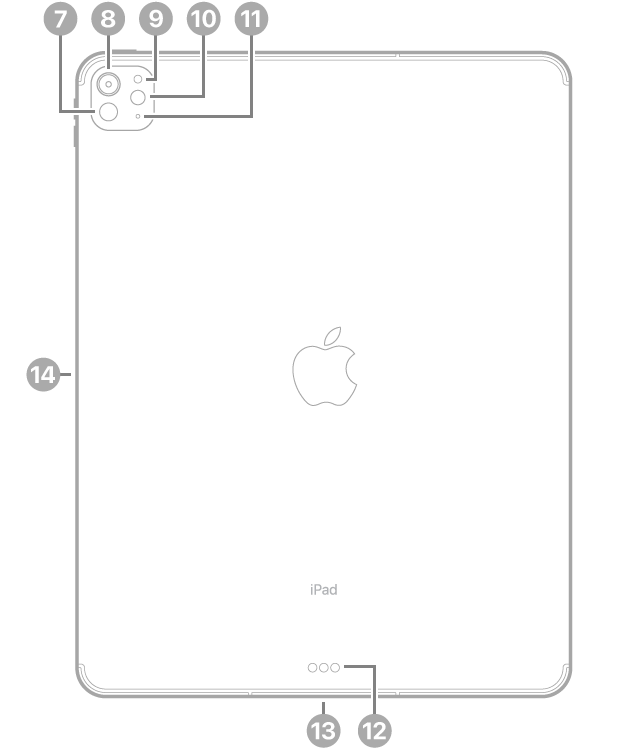 מבט אחורי על iPad Pro (‏13 אינץ׳) (M4) עם הסברים על ה-LiDAR, המצלמה האחורית, חיישן התאורה, הפלאש והמיקרופון משמאל למעלה, מחבר Smart Connector ומחבר USB-C למטה באמצע, והמחבר המגנטי ל-Apple Pencil משמאל.