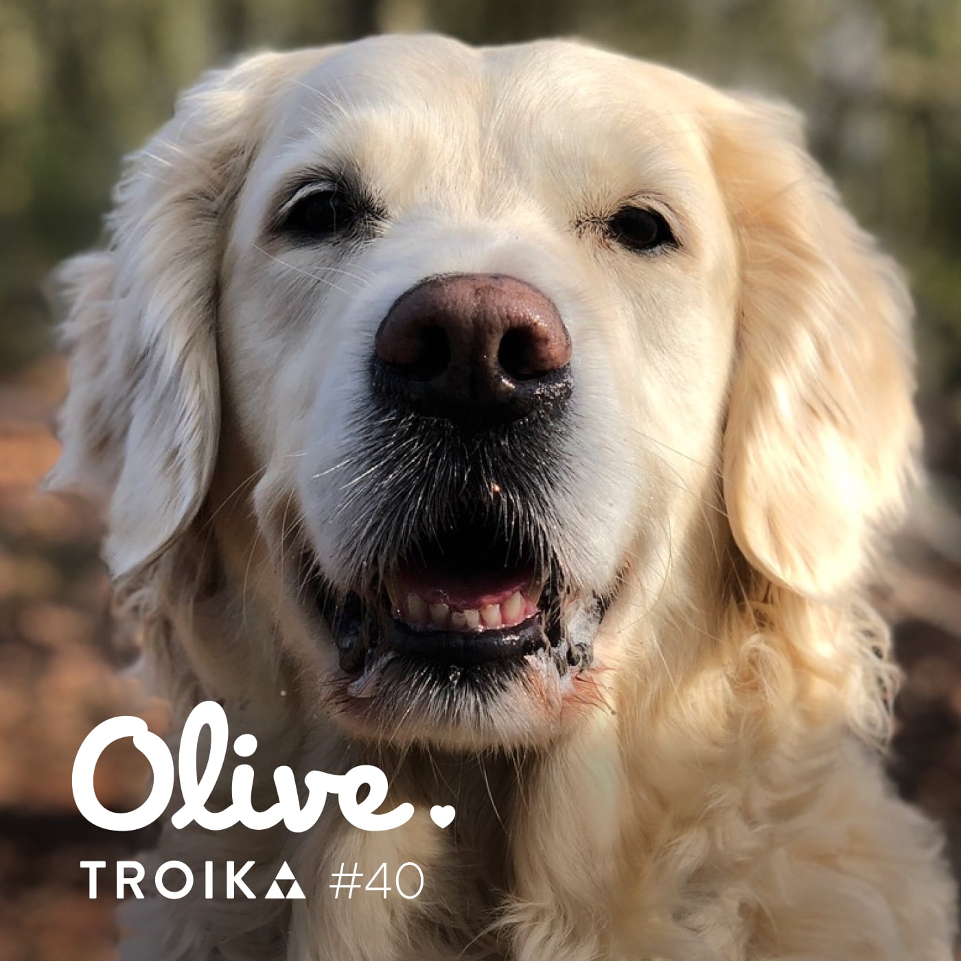 Troika #40: Olive A portrait of Olive