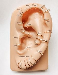 an image of the inside of a fake human ear