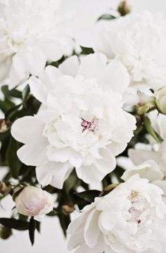 A Pretty Turn Love Flowers, My Flower, Florist, Bloemen, Wallpaper