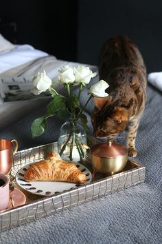 a cat standing on top of a bed next to a tray with food and flowers
