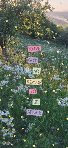 a field filled with lots of flowers and signs that say you've got no reason to be afraid