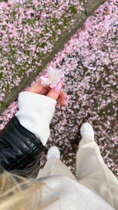 a person holding a flower in their hand with pink flowers on the ground behind them