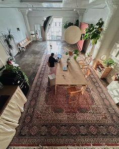 an overhead view of a living room with rugs and plants on the floor,