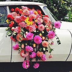 a bunch of flowers that are on the back of a car
