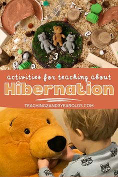 a young boy holding a teddy bear in front of a pile of buttons with the words activities for teaching about hibernation
