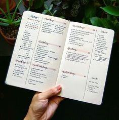 a hand holding an open planner in front of potted plants