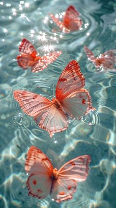 several butterflies floating in the water near each other