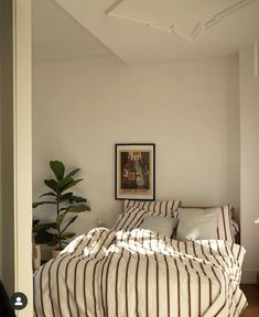 a bed sitting in a bedroom next to a plant on top of a hard wood floor