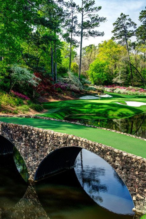 Golf, Masters Tournament, Beautiful, Augusta, Budweiser, Augusta Golf, Life, Landscape, Golf Pictures