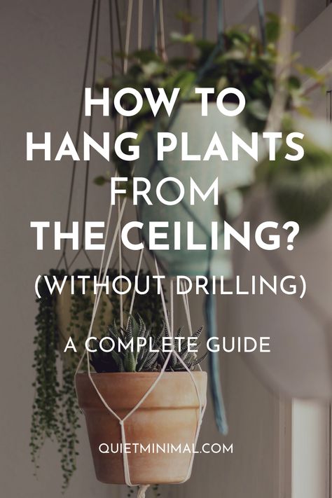 How to Hang Plants From the Ceiling Without Drilling (12 Creative Ways) Gardening, Hang Plants From Ceiling, Hanging Plants Diy, Best Hanging Plants Indoor, Ladder Hanging Plants, Hanging Plant Diy, Hanging Planters Indoor, Hanging Indoor Plants, Hanging Planters